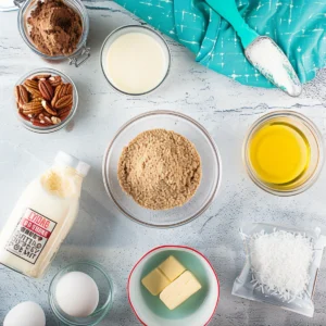Overhead view of ingredients for German chocolate poke cake, including eggs, brown sugar, shredded coconut, pecans, sweetened condensed milk, melted butter, oil, water, and chocolate cake mix